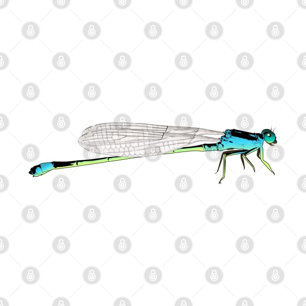 Damselfly by Sticker Steve