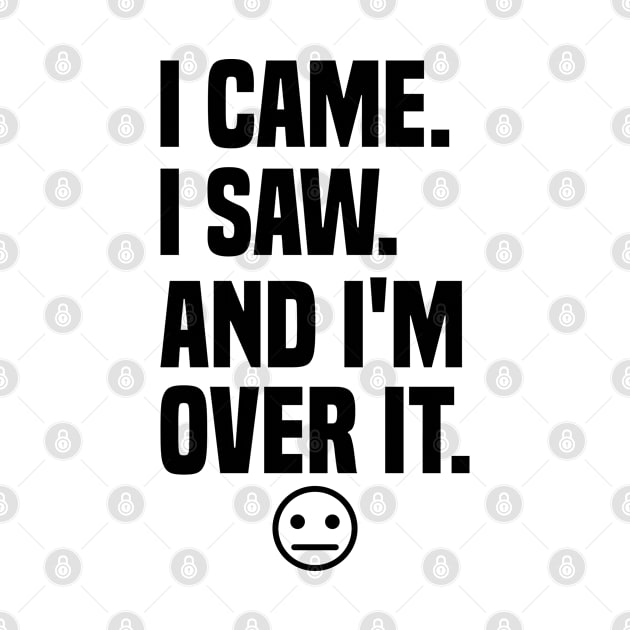 I came I saw And I'm Over It by TaliDe