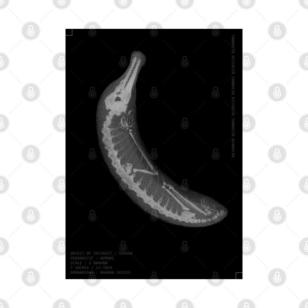 Discover Banana X-ray (WITH text) - Banana - T-Shirt