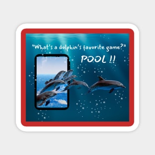 Dolphin riddle 3d Magnet