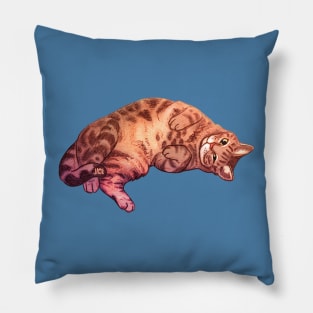 Tabby Muffin Pillow