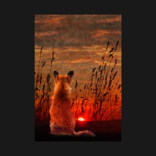 Red Fox watching the Sunset T-Shirt