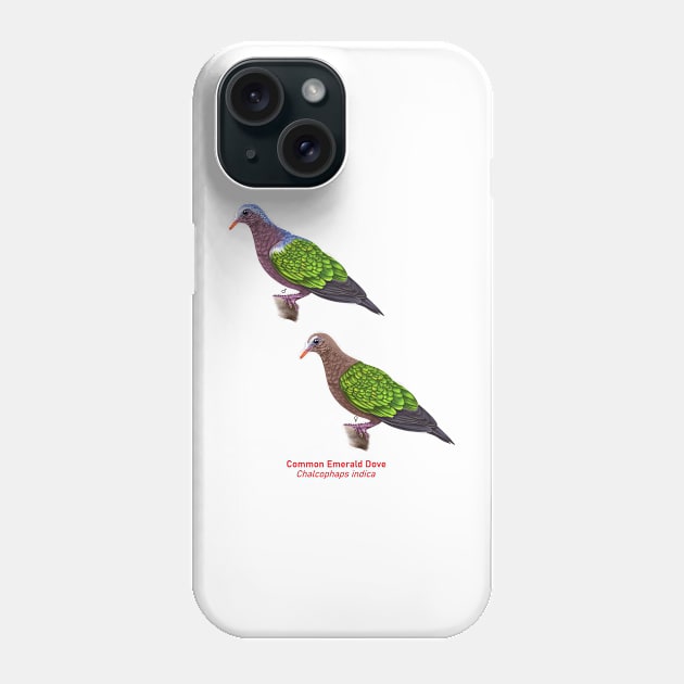 Asian Emerald Dove | Chalcophaps indica ⚥ Phone Case by bona 