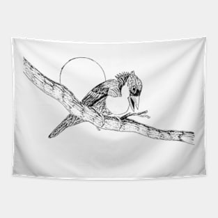 Barbet Bird illustration Tapestry