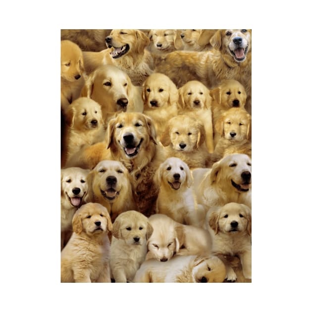 Golden Retrievers by MaxencePierrard