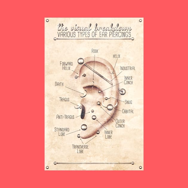 Vintage-Style Ear Piercing Infographic Chart by Jarrodjvandenberg