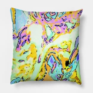 Psicodelic Pillow