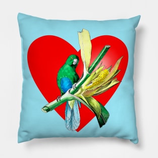 parakeet heart Pillow