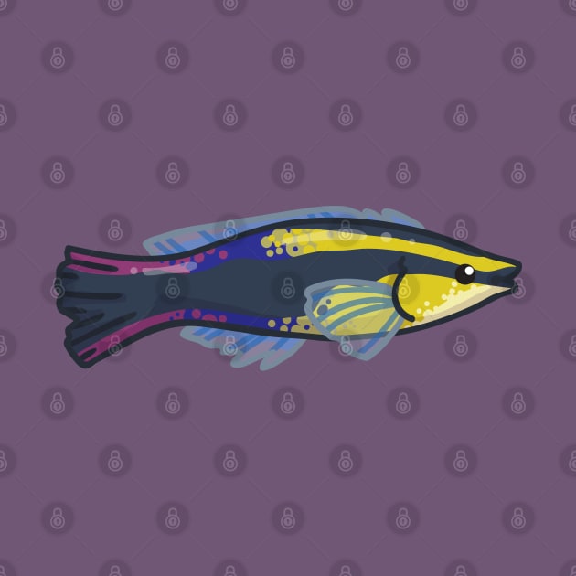 Hawaiian Cleaner Wrasse by bytesizetreasure