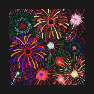 Wonderful and Colorful Fireworks T-Shirt