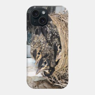 Young American Robins In Their Nest Phone Case