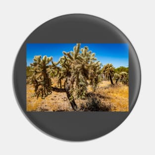 Cholla Cactus along the Apache Trail Pin