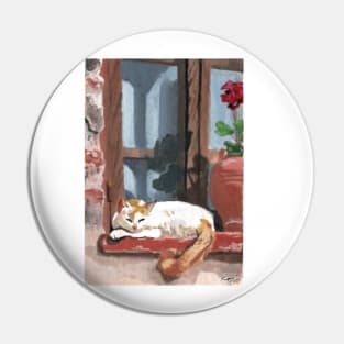 Sleeping cat Pin