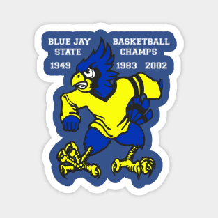 Delphos St. John's Boys Basketball State Champs Magnet