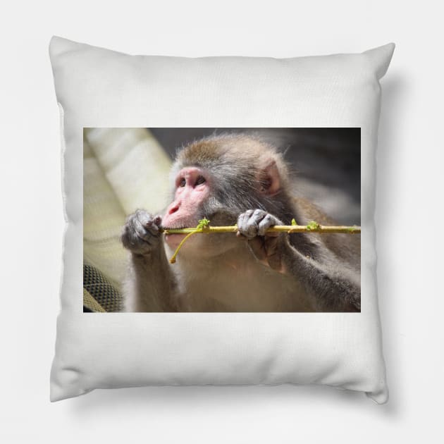 Japanese Snow Monkey Pillow by croper