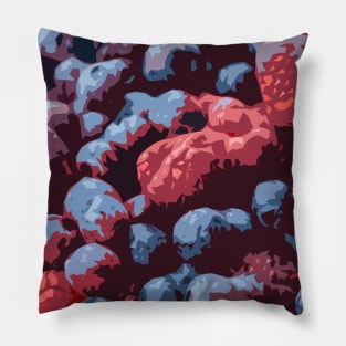 Raspberries and Blueberries! Pillow