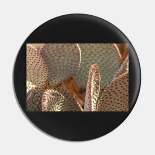 Beavertail Cactus Pin