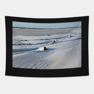 Early Morning on the Tundra, Churchill, Canada Tapestry