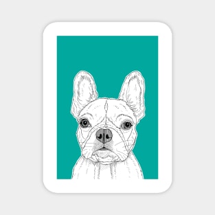 French Bulldog Portrait ( teal background ) Magnet