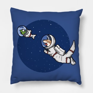 Otter Space Pillow