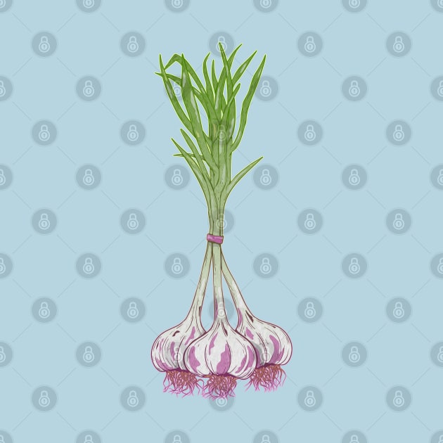 Garlic plants by mailboxdisco