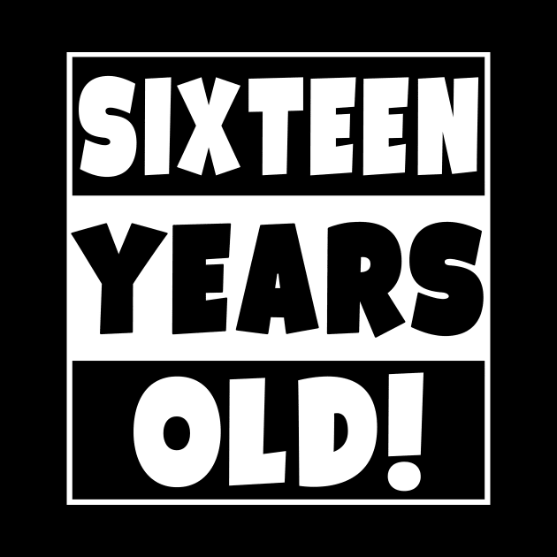 Sixteen Years Old Happy Birthday Party 16 Year Old by Eyes4