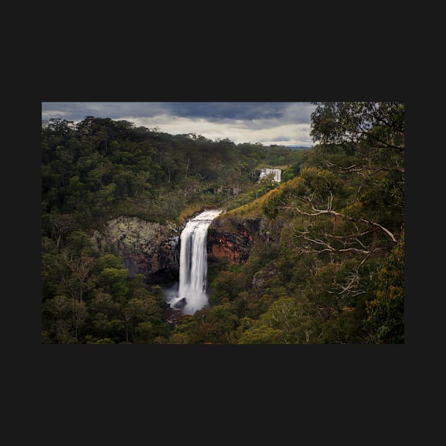 Ebor Falls by dags