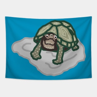 Curious Tortoise Graphic Design Tapestry