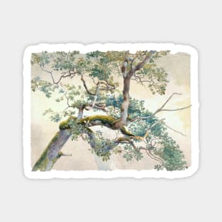 Tree branches Magnet