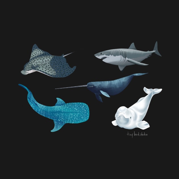 Marine animals by Tiny Bird Studio