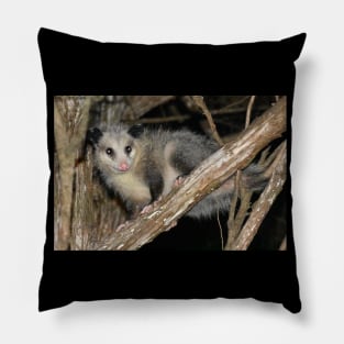 Possum Pillow