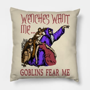 Wenches Want Me Goblins Fear Me - Meme, Wizard, Parody Pillow