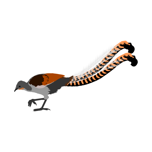 Superb Lyrebird by stargatedalek