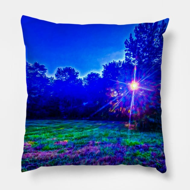 Colorful Field at Sunset Pillow by PandLCreations