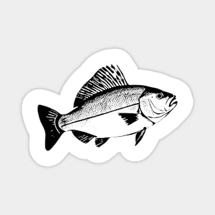 Fish Magnet