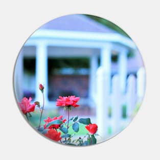 Red Roses in Front of a White Gazebo Pin