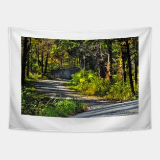 Winding Roads Tapestry