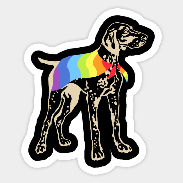 Vintage Gay Pride Flag Golden Retriever T Shirt Lgbt Pride T