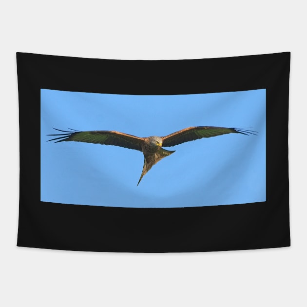 Northamptonshire Red Kite Bird of Prey Tapestry by MartynUK