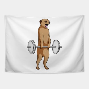 Meerkat Bodybuilding Dumbbells Tapestry