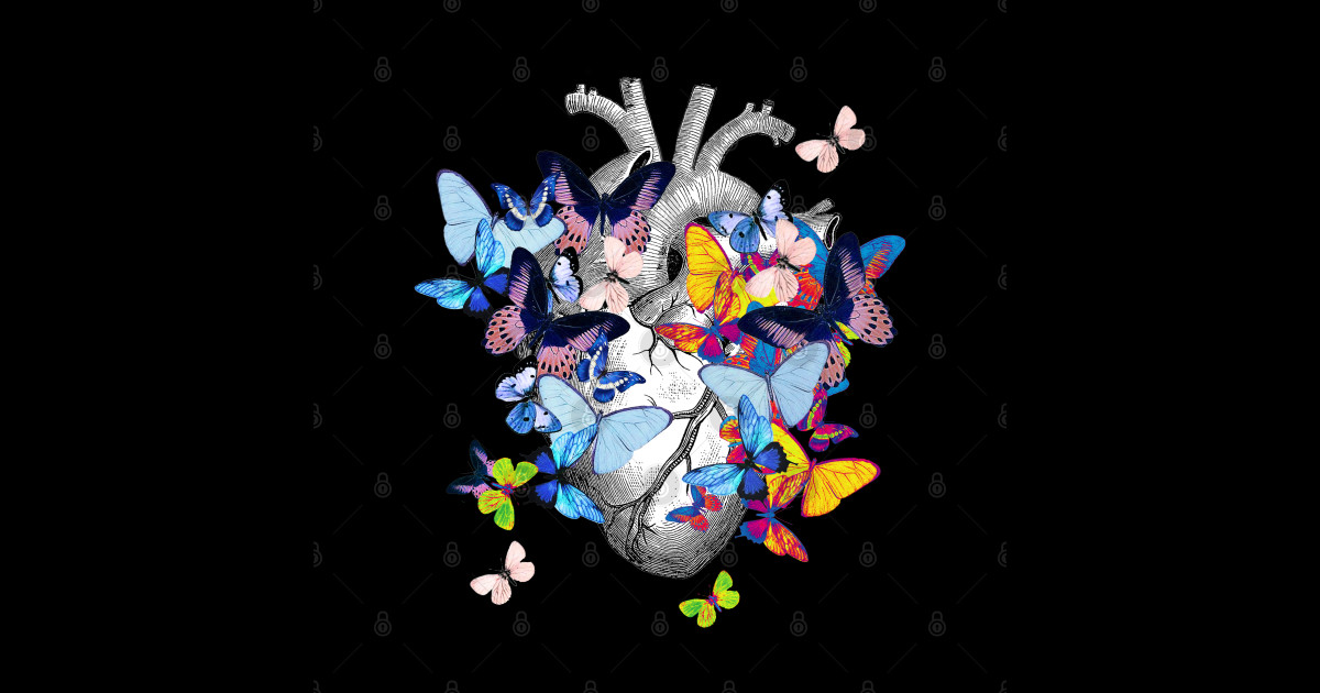 Heart Human Anatomy Colorful Butterflies Human Heart Sticker Teepublic 1480