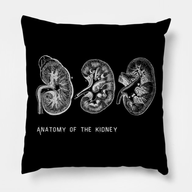 Anatomy of the kidney Pillow by Dr.Bear