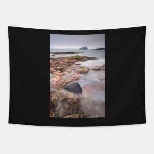 Seacliff Intertidal Rocks Tapestry