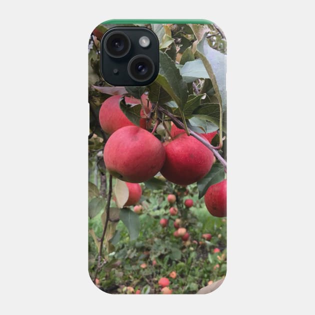 Apple Branch in the Apple Orchard Phone Case by Humerushumor