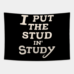 I put the stud in study Tapestry