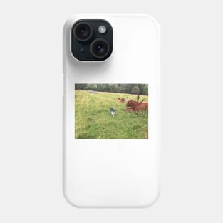 Scottish Highland Cattle Cows and Cat 2087 Phone Case