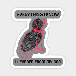 everything I know I learned from my dog Magnet