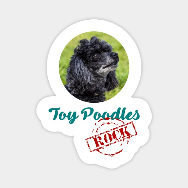 Toy Poodles Rock! Magnet by Naves