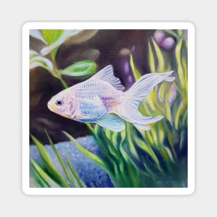 White Goldfish #2 - fish painting Magnet