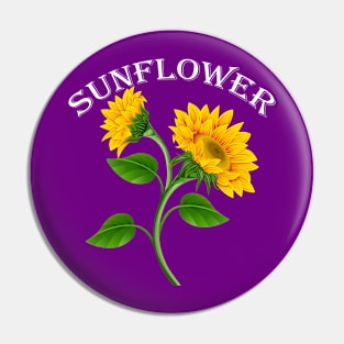 sunflower beatiful Pin